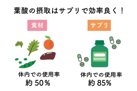 葉酸は主に2種類